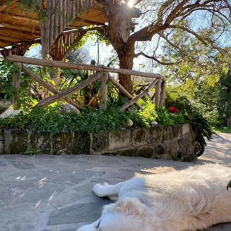 L'olivara * Piano di Sorrento