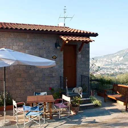 Farm stay L'olivara *