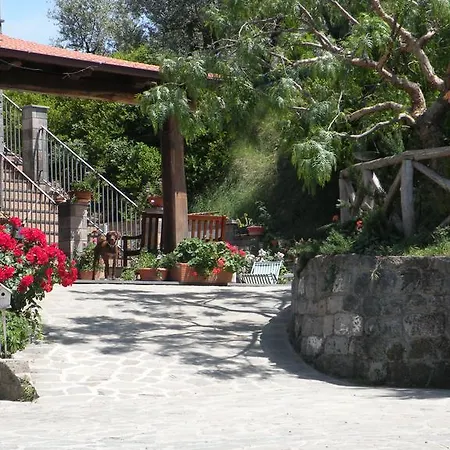 Farm stay L'olivara