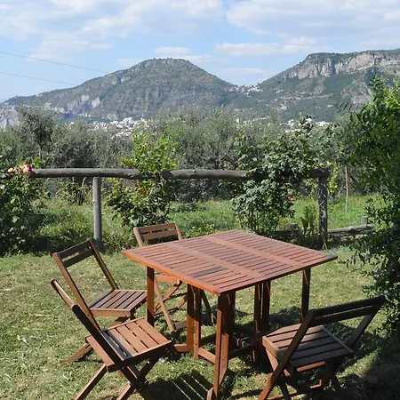 L'olivara Farm stay *