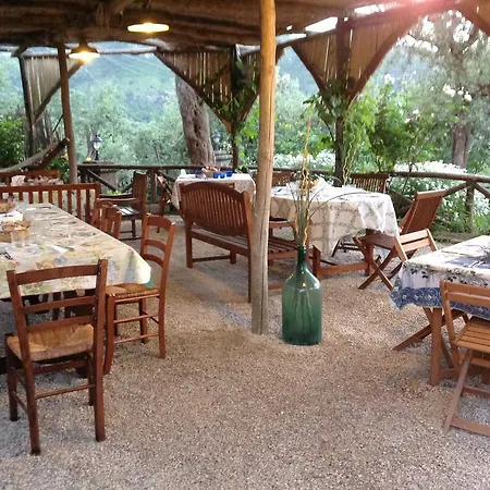 L'olivara Piano di Sorrento