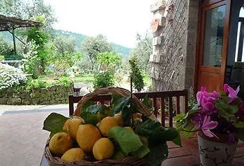 Farm stay L'olivara Piano di Sorrento