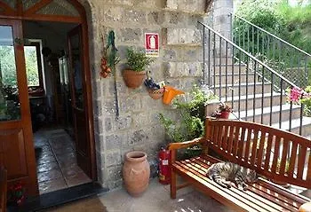 L'olivara Farm stay Piano di Sorrento