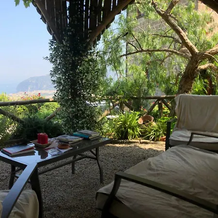 Farm stay L'olivara