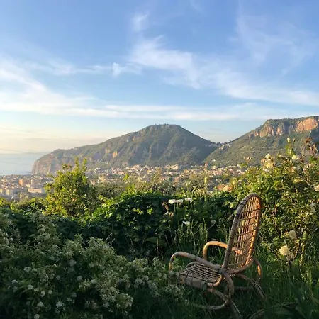 Farm stay L'olivara
