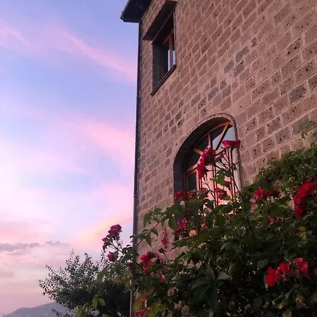 Farm stay L'olivara