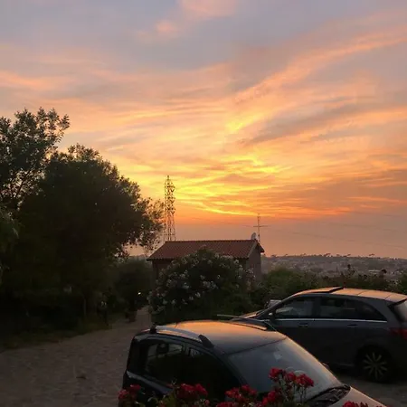 L'olivara Bauernhof Piano di Sorrento